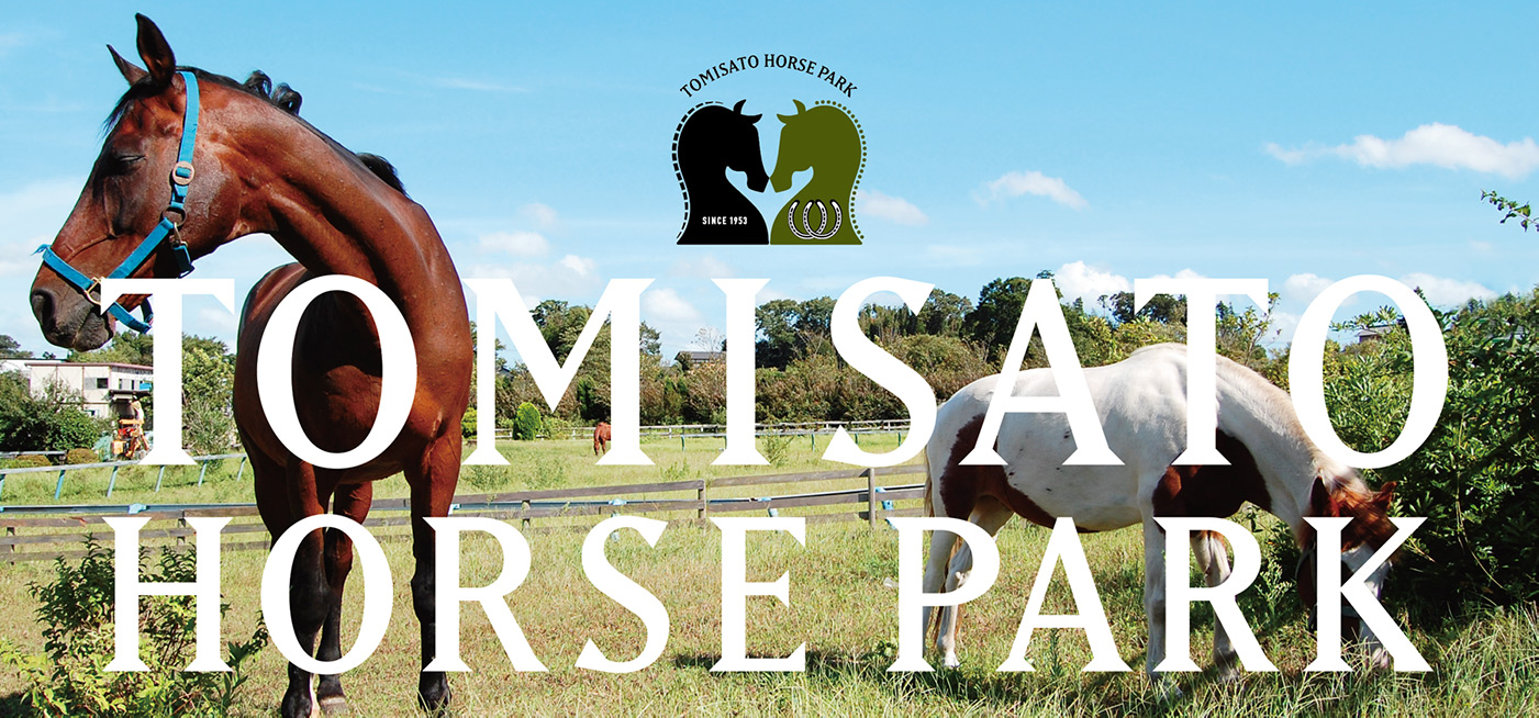 Tomisato Horse Park  Logo Design
